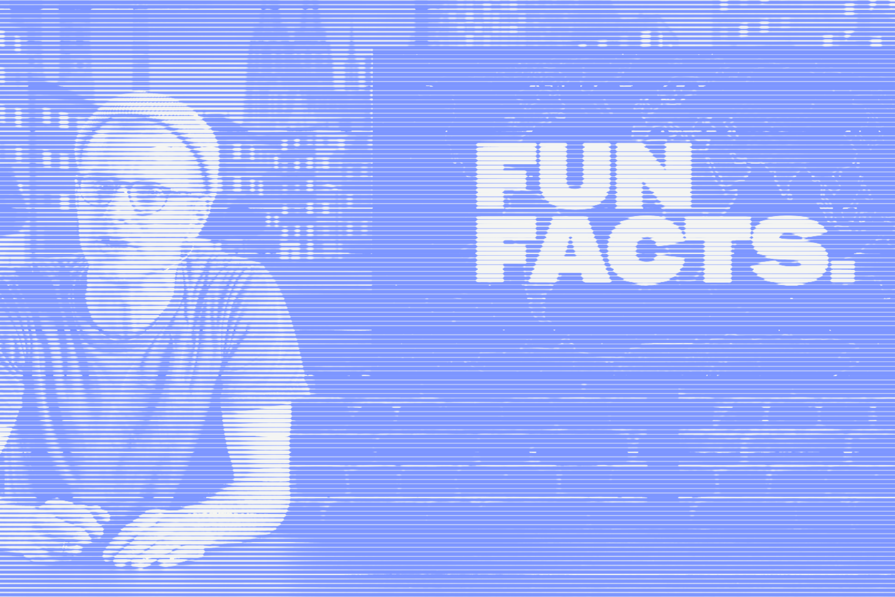 Funfacts